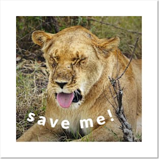 save me! Posters and Art